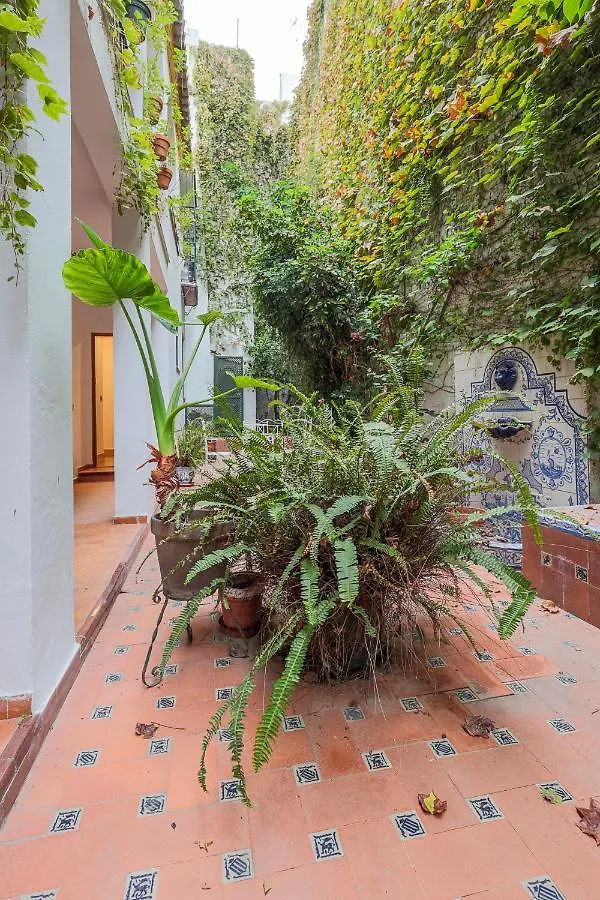 Apartamento Susona - Oasis de paz en barrio Santa Cruz Sevilla 0*,  España
